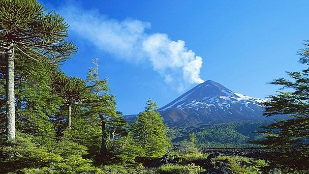 Национальный парк Конгильо в Темуко Национальный парк Конгильо в Темуко