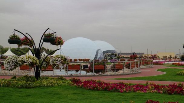 Dubai science park. Сад цветов в Дубае фото. Сад цветов в Дубае картинки.