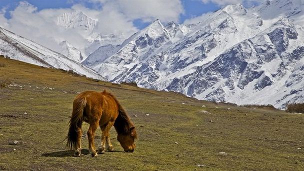 Высокогорная долина Лангтанг в Катманду