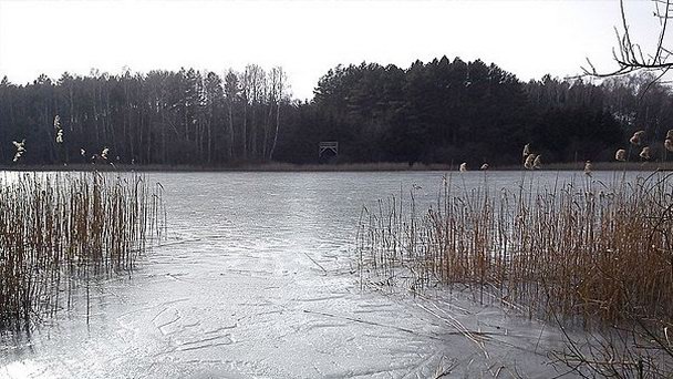 Заповедник Езёро-Плавно в Великопольском воеводстве