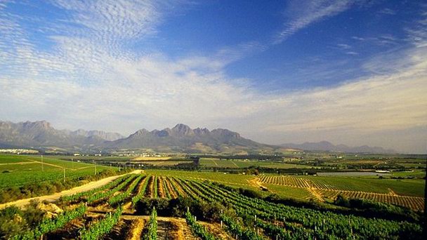 Винные фермы Стелленбош в Кейптауне