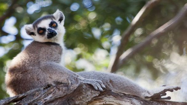 Долина Мандраре в Форт Дауфине Долина Мандраре в Форт Дауфине