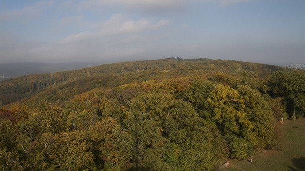 Холм Галлицинберг в Вене