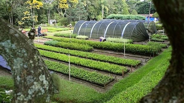 Дендрарий Horto Florestal в Кампо Гранде