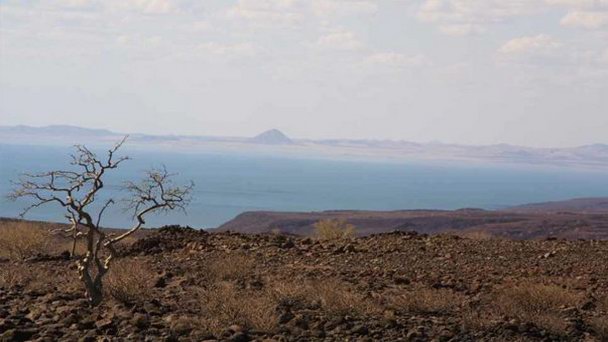 Национальные парки озера Туркан в Найроби