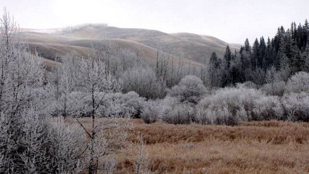 Парк Cochrane Ranche в Альберте