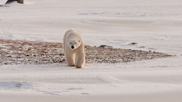 Озеро Каминьюриак в Манитобе