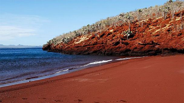 Темно-красный пляж на острове Рабида на Галапагосских островах