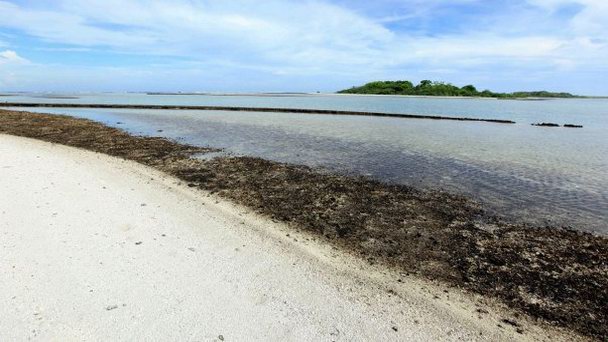 Остров Уиндуорд на о-вах Лайне Остров Уиндуорд на о-вах Лайне