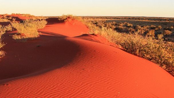 Пустыня Симпсон в Улуру