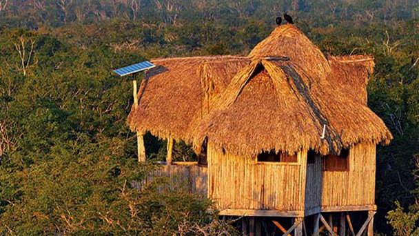 Экологический заповедник El Eden в Канкуне Экологический заповедник El Eden в Канкуне