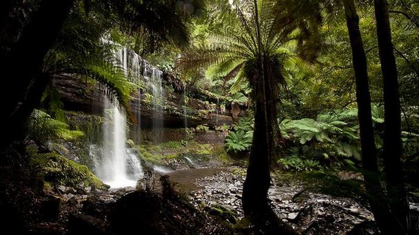 Национальный парк Маунт Филд в Тасмании Национальный парк Маунт Филд в Тасмании