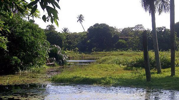 Зоопарк Ресифе