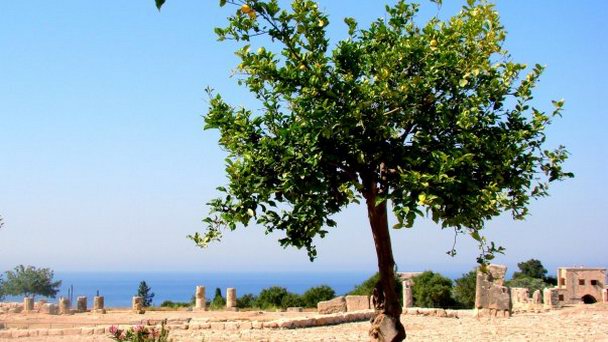 Руины храма Афродиты в Пафосе