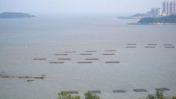 Чжуцзян в Гуанчжоу Чжуцзян в Гуанчжоу