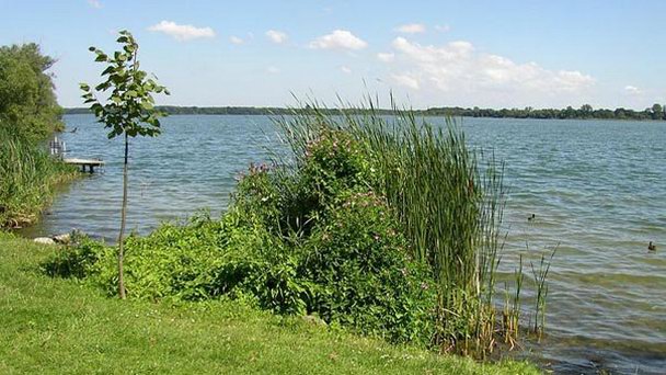 Озеро Шальзе в Шлезвиг-Гольштейне