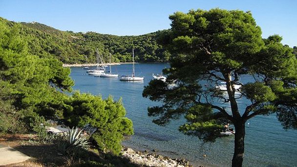 Пляж Саплунара Бэй в Южной Далмации