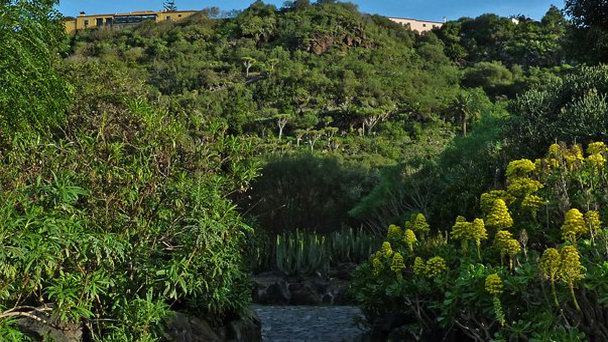 Ботанический сад Вьера-и-Клавихо на Канарских островах