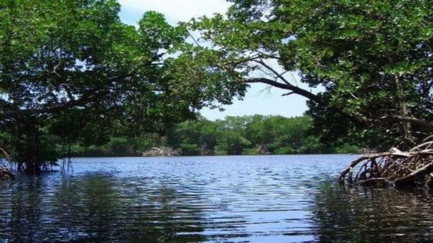 Лагуна Ла Рестинга на Маргарите