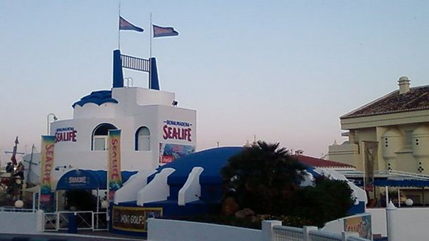 Аквариум Морская жизнь в Бенальмадене в Коста дель Соль