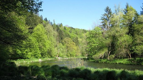 Река Ильц в Баварии