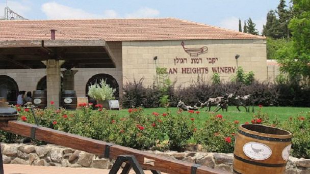 Винный завод Katsrin в Галилее