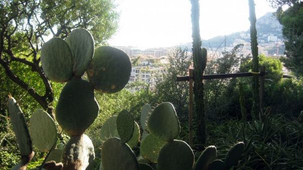 Сады Saint-Martin в Монте-Карло Сады Saint-Martin в Монте-Карло