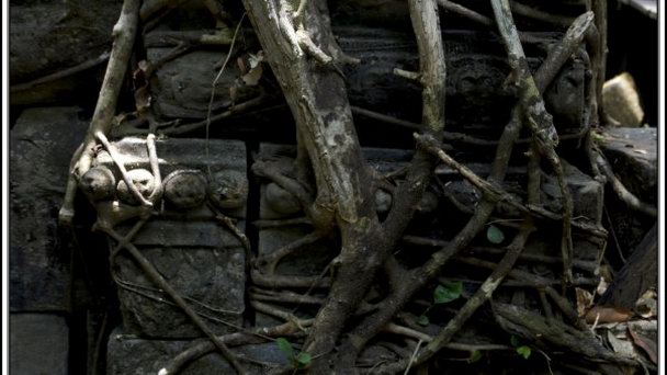 Храм Бенг Меалеа (Beng Mealea) в Сием Рипе