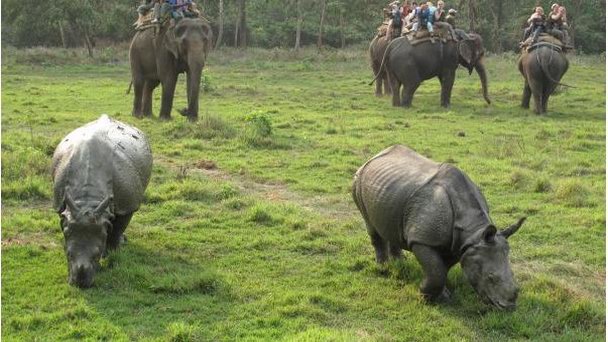 Заповедник Парса в Читване