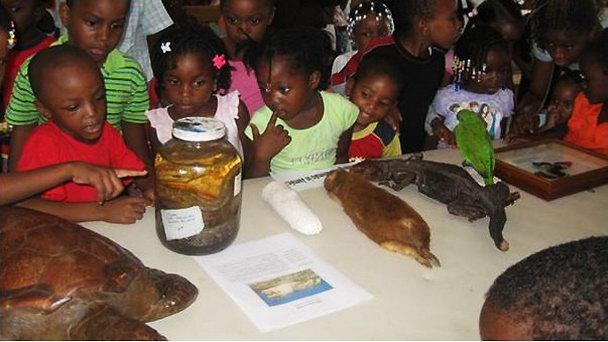 Музей естествознания в Кингстоне