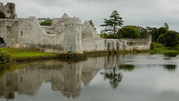 Замок Десмонд в Корке