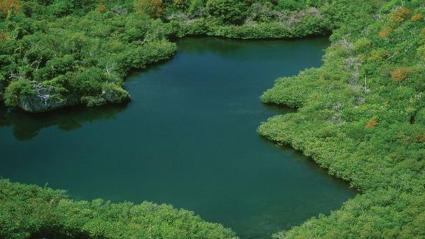 Заповедный парк Блю-Хоул-Парк в Гамильтоне