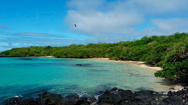 Остров Тинторерас на Галапагосских островах Остров Тинторерас на Галапагосских островах