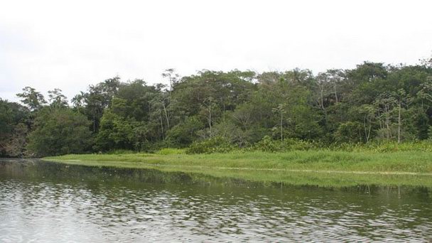 Биологическая резервациия Лимонкоча в Ориенте