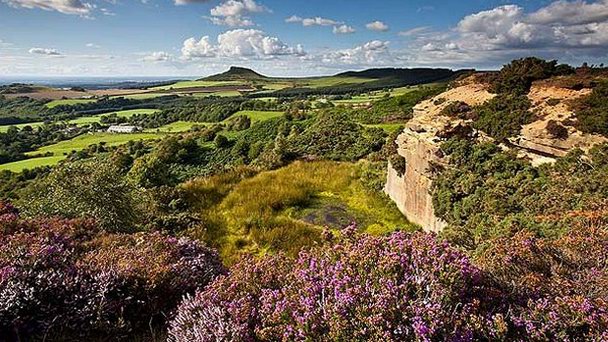 Национальный парк North York Moors в Йорке (фото)