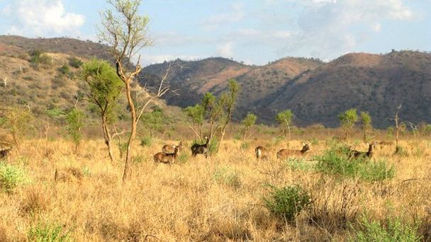 Национальный парк Маго в Арба-Мынче Национальный парк Маго в Арба-Мынче