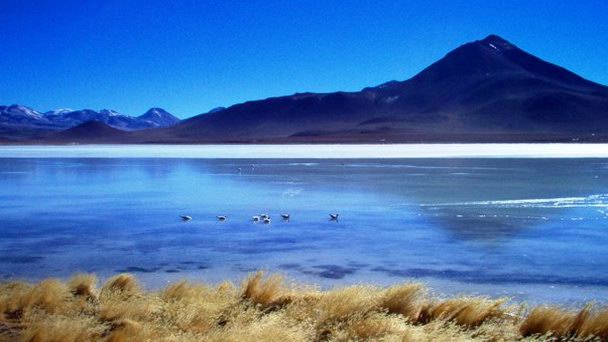 Лагуна Бланка или Белое озеро в Потоси Лагуна Бланка или Белое озеро в Потоси