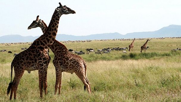 Национальный парк Микуми