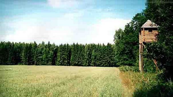 Дендропарк в Витебской области