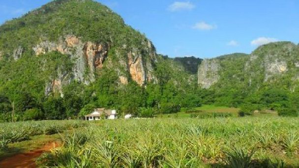 Заповедник Леон в Матансасе Заповедник Леон в Матансасе