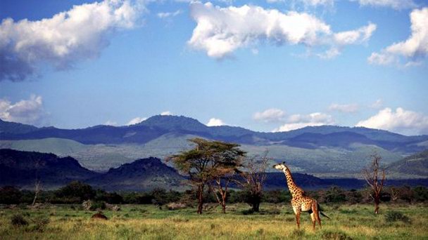 Сафари в Чулу-Хиллc в Цаво