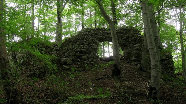 Развалины Шатийон в Берне