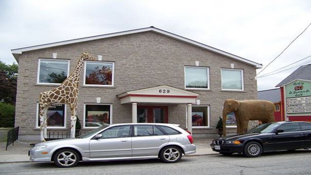 Галерея Джудит Мур в Онтарио