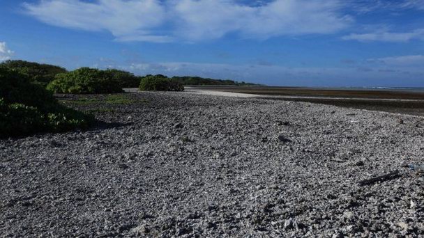 Остров Нодди-Рок на о-вах Лайне Остров Нодди-Рок на о-вах Лайне