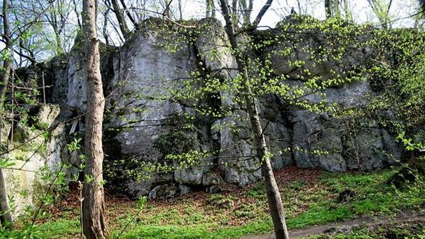 Заповедник Паненские скалы в Кракове
