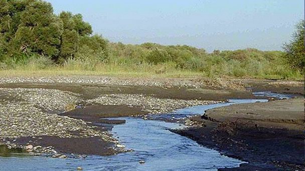 Зарафшанский заповедник в Самарканде