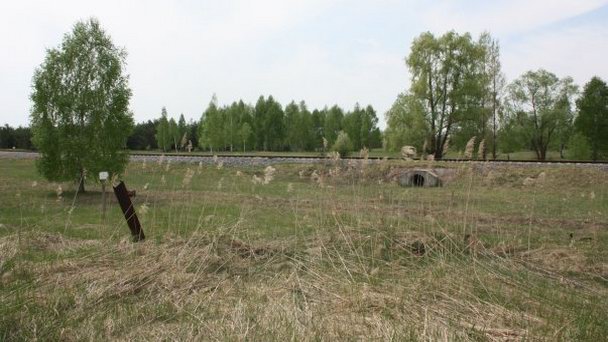 Рыжий лес в Киеве