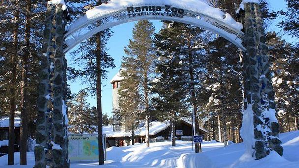 Зоопарк Рануа в Рованиеми