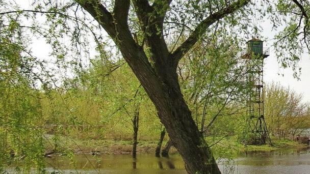 Пограничная вышка над Бугом в Бресте