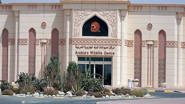 Арабский центр дикой природы в Шардже Арабский центр дикой природы в Шардже